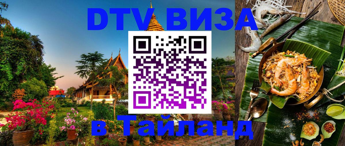 Оформление DTV визы под ключ: стоимость и тарифы, только загранпаспорт - 05.12.2025 